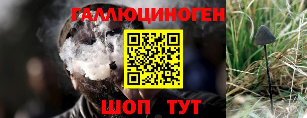 Галлюциногенные грибы Psilocybine cubensis  Галлюциногенные грибы ЛСД  где купить   Королёв  Вход с VPN 